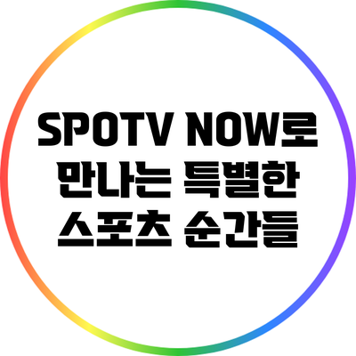 SPOTV NOW로 만나는 특별한 스포츠 순간들