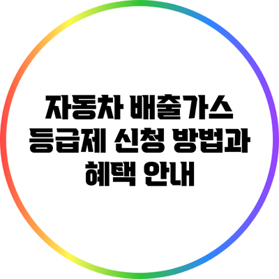 자동차 배출가스 등급제 신청 방법과 혜택 안내