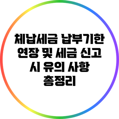 체납세금 납부기한 연장 및 세금 신고 시 유의 사항 총정리