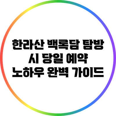 한라산 백록담 탐방 시 당일 예약 노하우 완벽 가이드