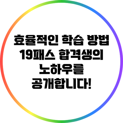 효율적인 학습 방법: 19패스 합격생의 노하우를 공개합니다!