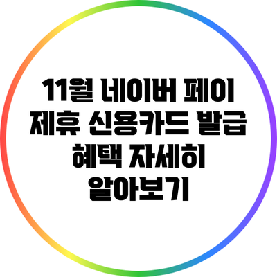 11월 네이버 페이 제휴 신용카드 발급 혜택 자세히 알아보기