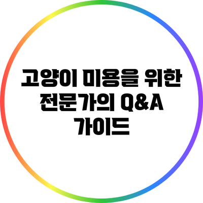 고양이 미용을 위한 전문가의 Q&A 가이드