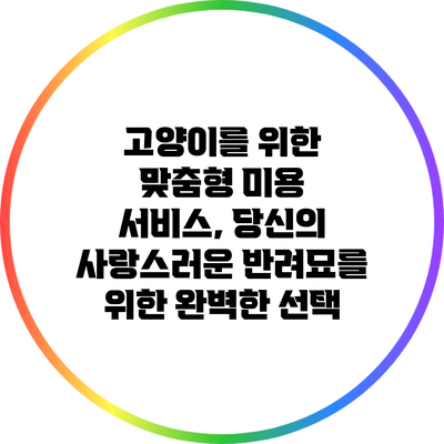 고양이를 위한 맞춤형 미용 서비스, 당신의 사랑스러운 반려묘를 위한 완벽한 선택