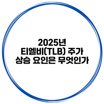 2025년 티엘비(TLB) 주가 상승 요인은 무엇인가?